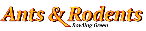Bowling Green Ant Exterminator & Rodent Control Company Logo